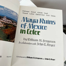 Load image into Gallery viewer, Maya Ruins of Mexico in Colour