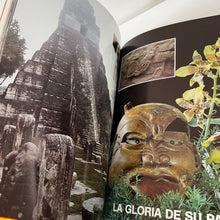 Load image into Gallery viewer, La increible Guatemala de Diego Molina