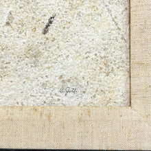 Load image into Gallery viewer, Framed Fish Fossil