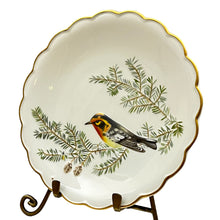 Load image into Gallery viewer, 1975~Royal Worcester The Birds Of Dorothy Doughty Plate Blackburnian Warbler 9.5"