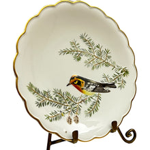 Load image into Gallery viewer, 1975~Royal Worcester The Birds Of Dorothy Doughty Plate Blackburnian Warbler