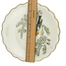 Load image into Gallery viewer, 1975~Royal Worcester The Birds Of Dorothy Doughty Plate Blackburnian Warbler
