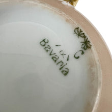 Load image into Gallery viewer, Bavaria Handpainted Floral Tea Cup and Saucer Set of 1