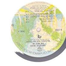 Load image into Gallery viewer, Grateful Dead Skeletons From The Closet - Red Vinyl 1 of 1500 out