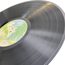 Load image into Gallery viewer, Grateful Dead Skeletons From The Closet - Red Vinyl 1 of 1500 out