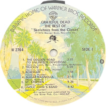 Load image into Gallery viewer, Grateful Dead Skeletons From The Closet - Red Vinyl 1 of 1500 out