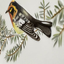 Load image into Gallery viewer, 1975~Royal Worcester The Birds Of Dorothy Doughty Plate Blackburnian Warbler 9.5"