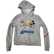 Load image into Gallery viewer, Disney Resort Hoodie Mickey Mouse Cinderella Castle Size Small
