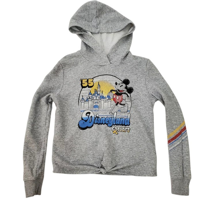 Disney Resort Hoodie Mickey Mouse Cinderella Castle Size Small
