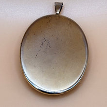 Load image into Gallery viewer, Vintage Cameo Pendant Gold Tone Bezel Floral Portrait
