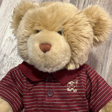 Load image into Gallery viewer, Build A Bear Teddy ~ 14” Wearing Khaki Shorts with Striped Polo

