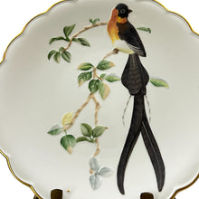 Load image into Gallery viewer, Vintage 1977 Royal Worcester Paradise Wydah Hand Painted Porcelain Plate 9&quot;

