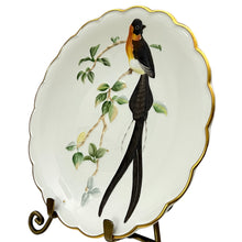 Load image into Gallery viewer, Vintage 1977 Royal Worcester Paradise Wydah Hand Painted Porcelain Plate 9&quot;
