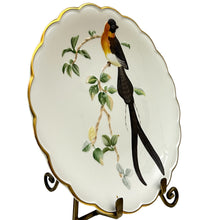 Load image into Gallery viewer, Vintage 1977 Royal Worcester Paradise Wydah Hand Painted Porcelain Plate 9&quot;
