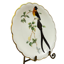 Load image into Gallery viewer, Vintage 1977 Royal Worcester Paradise Wydah Hand Painted Porcelain Plate 9&quot;
