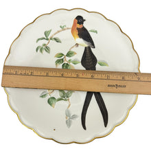 Load image into Gallery viewer, Vintage 1977 Royal Worcester Paradise Wydah Hand Painted Porcelain Plate 9&quot;
