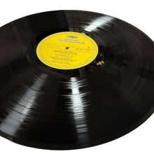 Load image into Gallery viewer, Herbert von Karajan  The Blue Danube Waltzes Polkas &amp; Other Favorites
