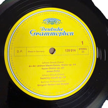 Load image into Gallery viewer, Herbert von Karajan  The Blue Danube Waltzes Polkas &amp; Other Favorites
