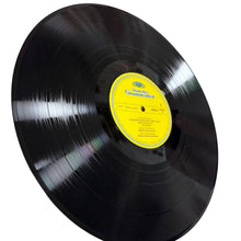 Load image into Gallery viewer, Herbert von Karajan  The Blue Danube Waltzes Polkas &amp; Other Favorites
