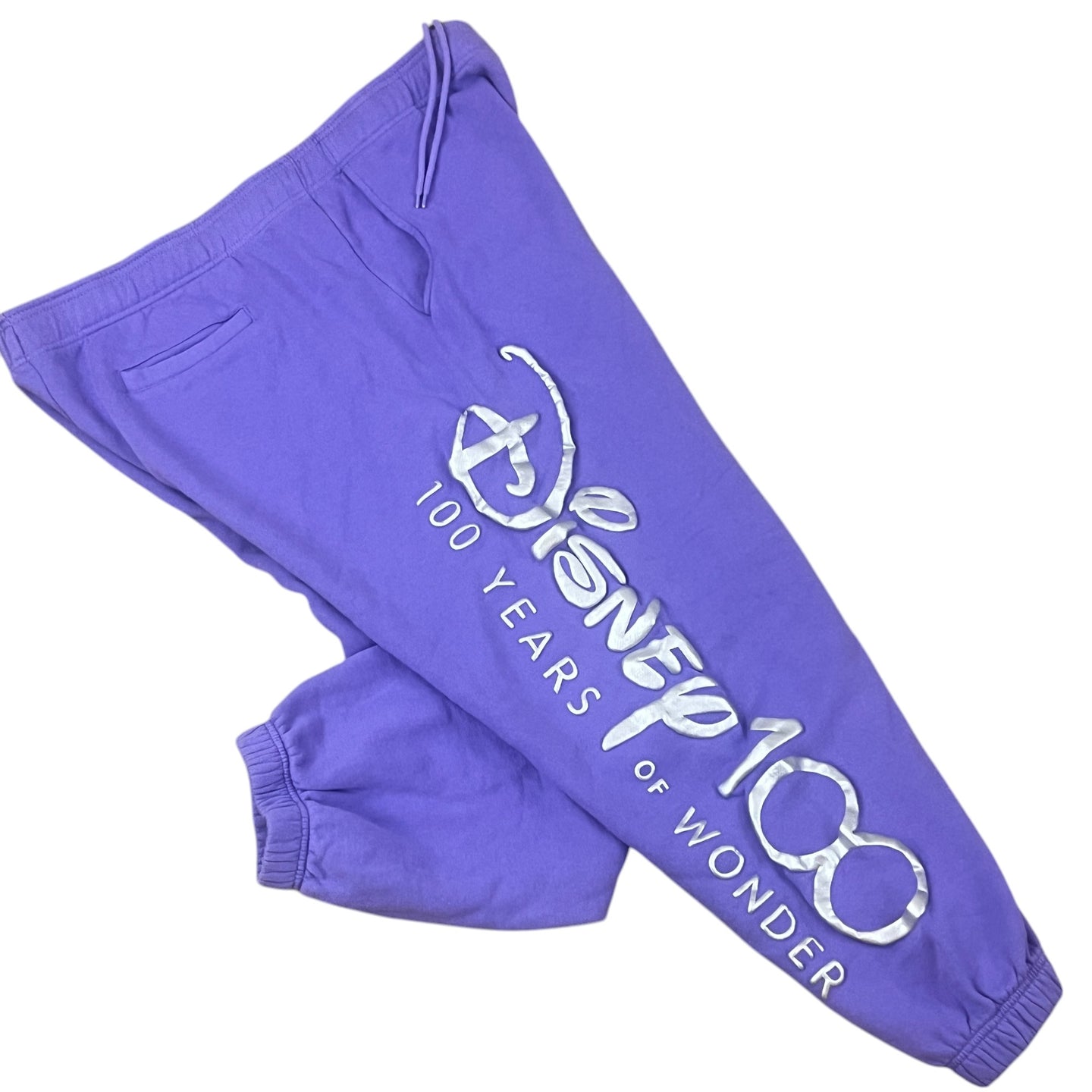 Disney Parks 100 Years Of Wonder Embroidered Purple Sweatpants Adult Size XL